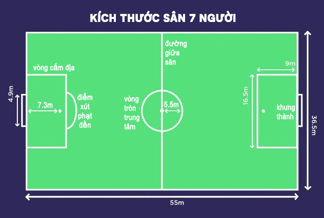 KÍCH THƯỚC SÂN BÓNG ĐÁ MINI 7 NGƯỜI