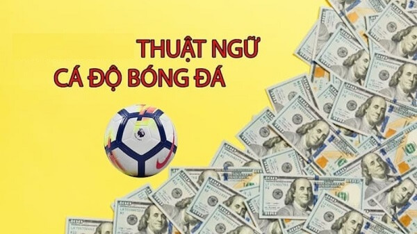 Tổng hợp các thuật ngữ cá độ bóng đá online 1