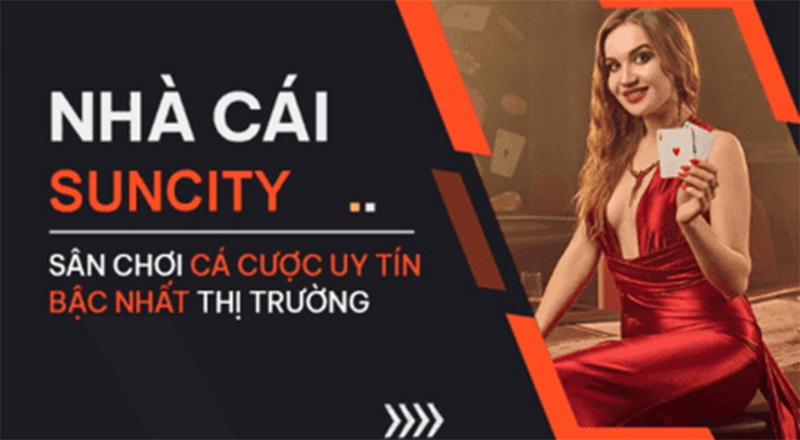 Hiểu được điều cơ bản khi chơi cá cược tại nhà cái Suncity