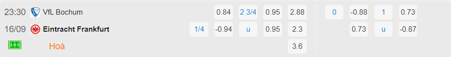 Bảng tỉ lệ kèo Bochum vs Eintracht Frankfurt