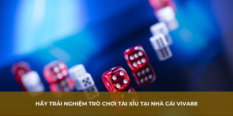 Hãy trải nghiệm trò chơi Tài Xỉu tại nhà cái Viva88