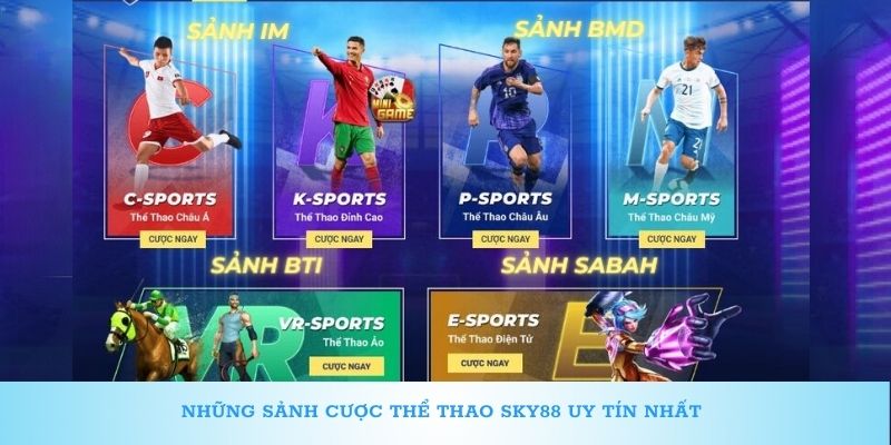 Những sảnh cược thể thao Sky88 uy tín nhất