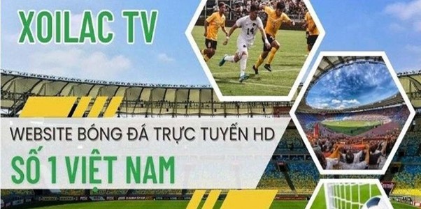 Đắm Chìm Trong Không Gian Bóng Đá Sống Động với Xoilactv