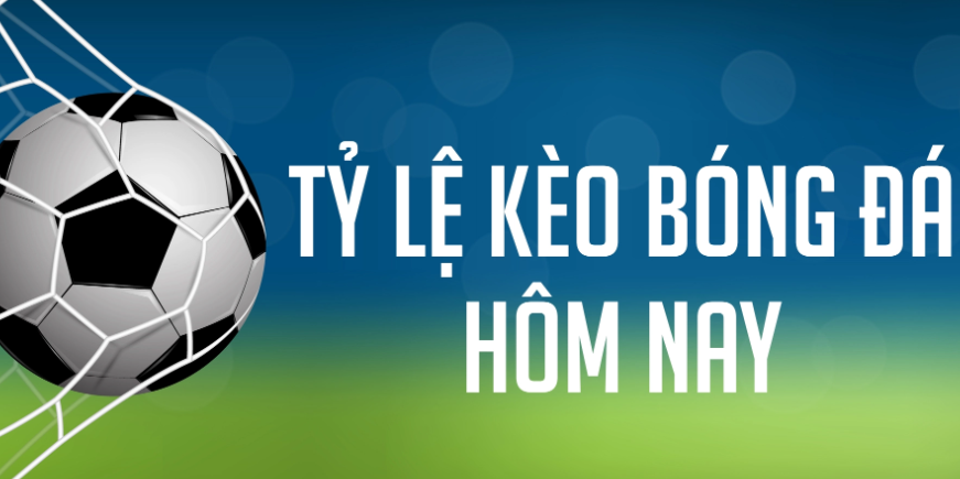 Bet88 soi kèo chuẩn xác dựa vào đâu?
