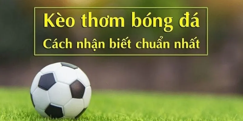 Nắm rõ ý nghĩ từng tỷ lệ kèo