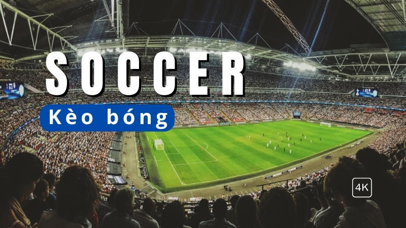 Phân tích lịch thi đấu dày đặc trên HUBET giúp tránh kèo rủi ro.